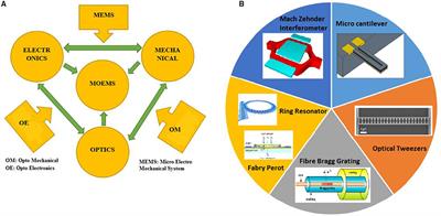 A Comprehensive Review on the Optical Micro-Electromechanical Sensors for the Biomedical Application
